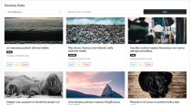 Axora Blog Addon Screenshot 3